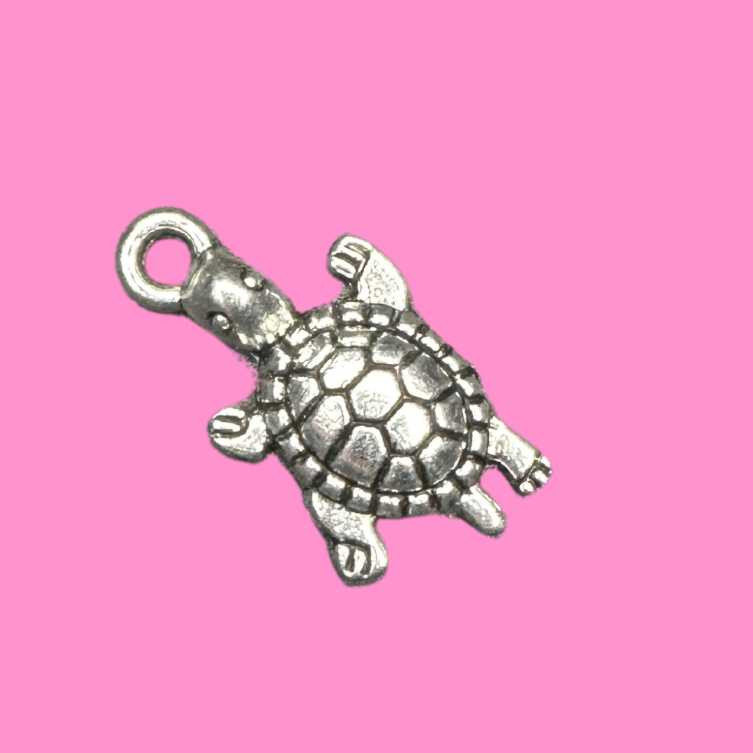 "Slow and Steady" Loc Charm